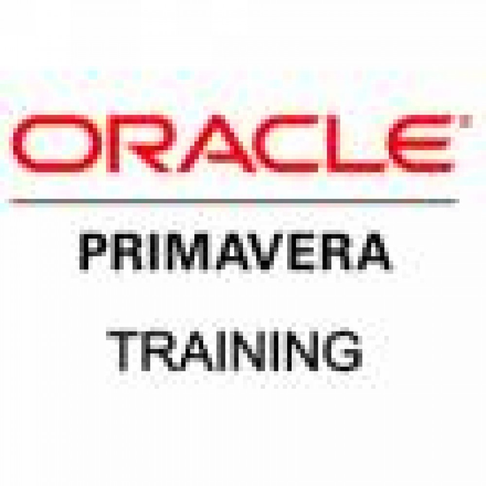 we will start a new primavera students at vision -0509249945 photo 1