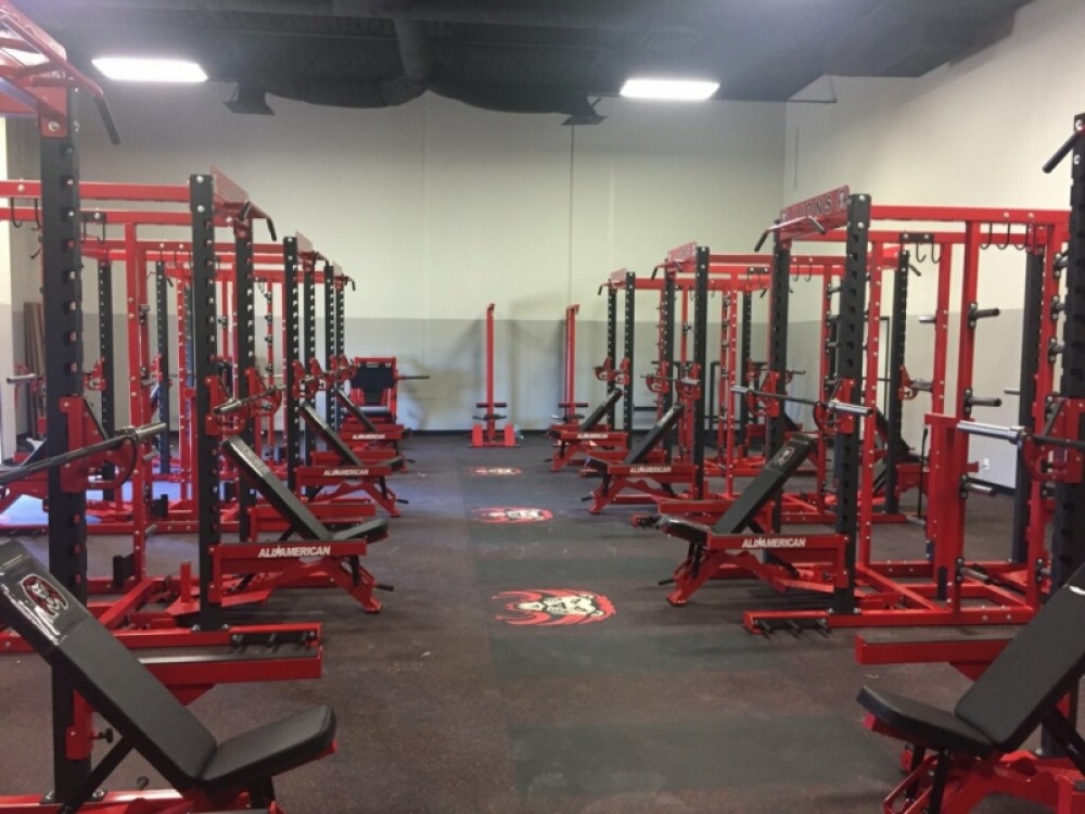 Own a Home Gym Equipment from Manufacturer photo 1