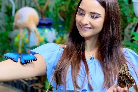 Explore The Colorful Beauty And Natural Wonders Of Dubai Butterfly Garden photo 4