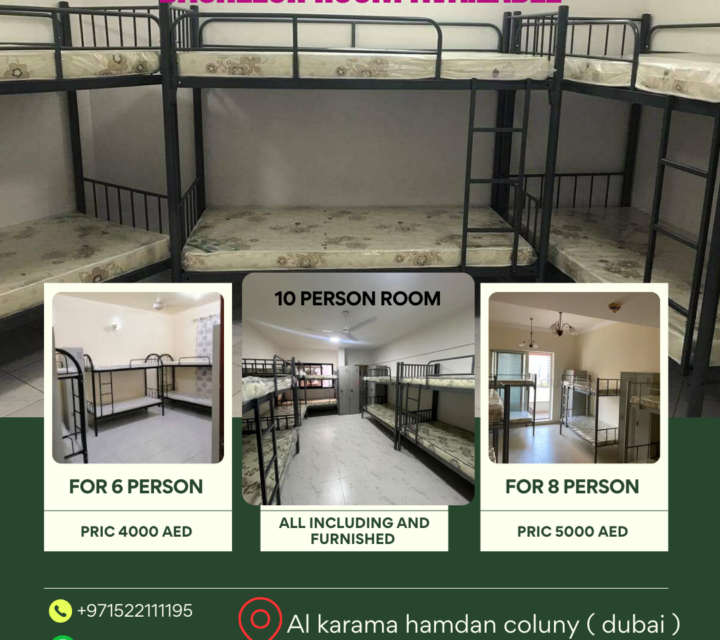Bachelor room and flat available