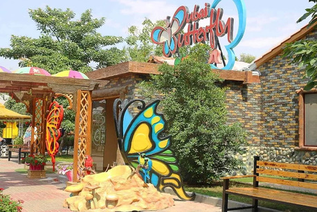 Explore The Colorful Beauty And Natural Wonders Of Dubai Butterfly Garden photo 2