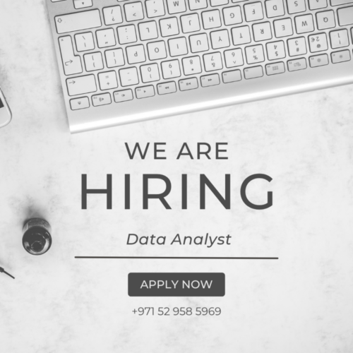 Data Analyst photo 1