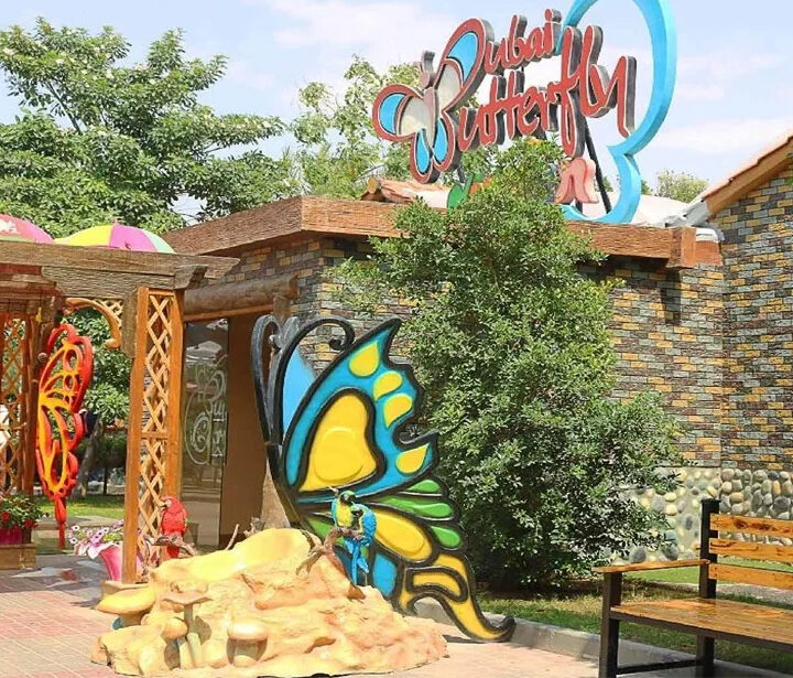 Discover Thousands of Beautiful Butterflies at Dubai Butterfly Garden photo 2