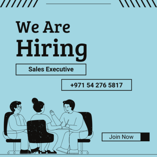 Sales Executive photo 1