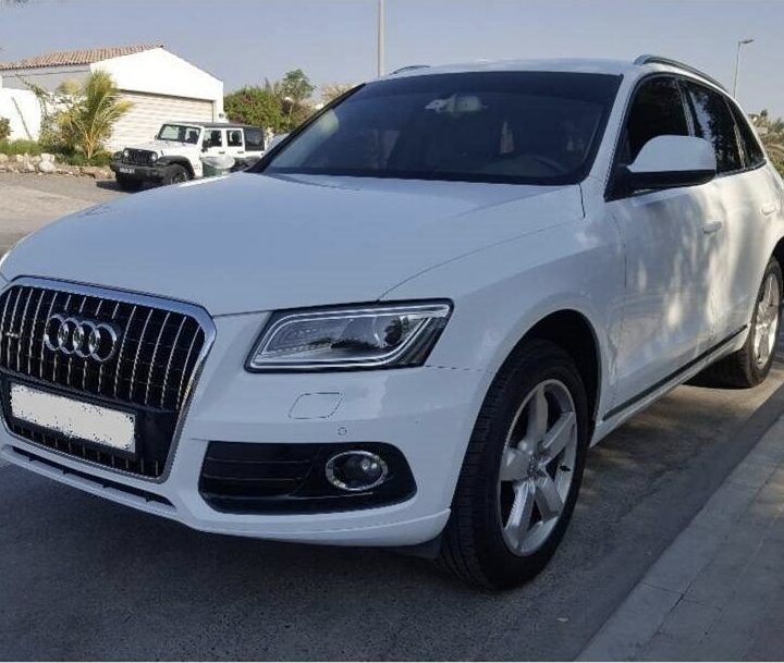Audi Q5, First Lady owner photo 2