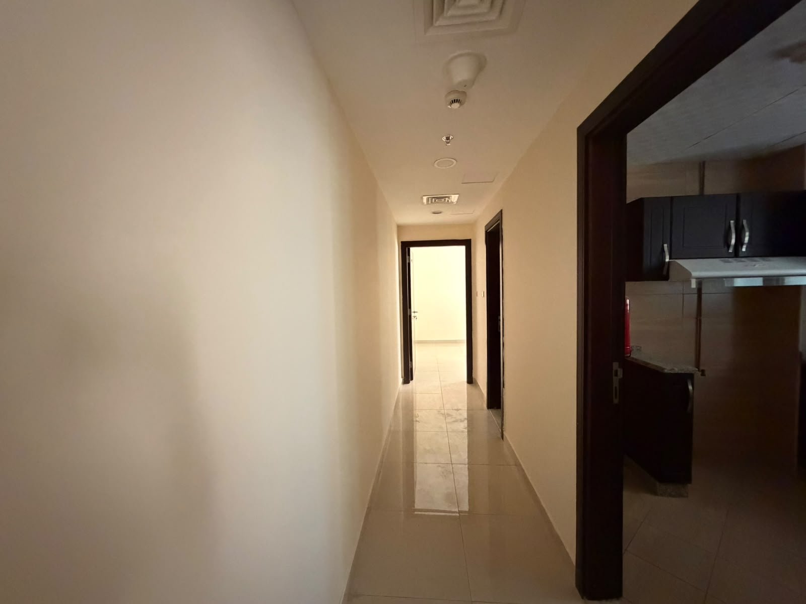 1BHK annual rent photo 3