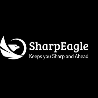 AED 500,  SharpEagle Overhead Crane Light | Industrial Crane Safety Warning Light
