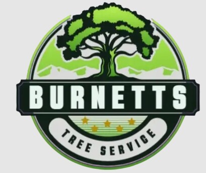 Burnett Tree Service photo 1