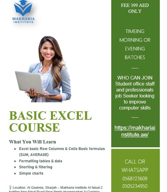 Advanced Excel Online Program UAE