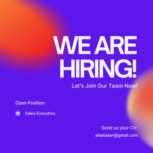 Sales Executive