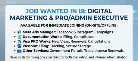 Looking For Job Digital Marketing Meta Ads Documentation Works Pro Visa And Everything photo 1