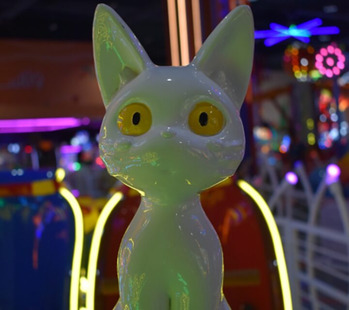 Wanasa Land Abu Dhabi’s Best Indoor Family Entertainment Center photo 2