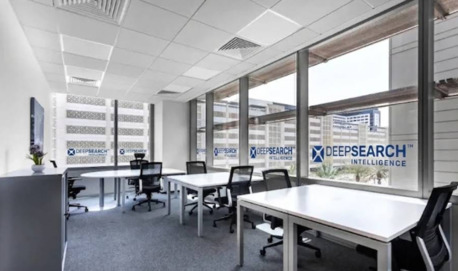 DeepSearch Intelligence photo 2