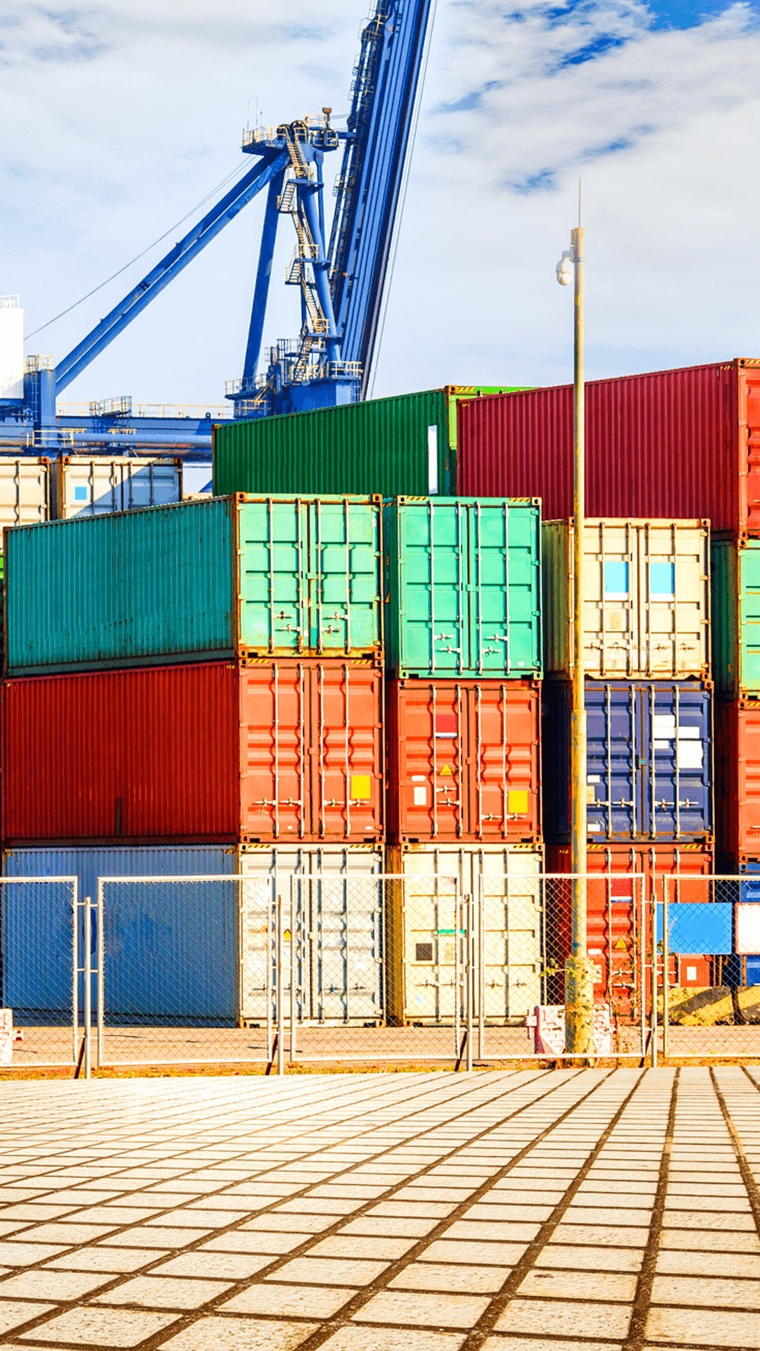 Reliable Dubai Customs Clearance Services for Import & Export photo 1