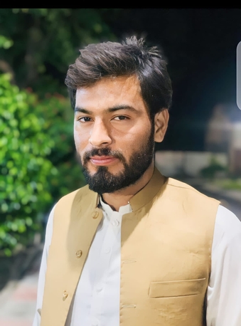 IT PROFESSIONAL photo 1
