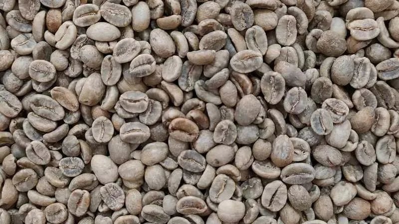 Premium Cacao Powder for Sale  | +27 71 934 5262 photo 2