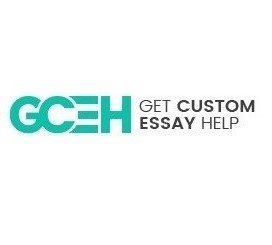 Online Essay Writing photo 1