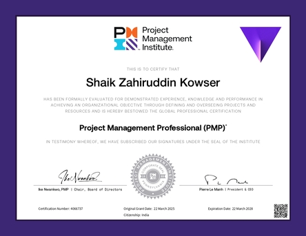 IT Project Manager