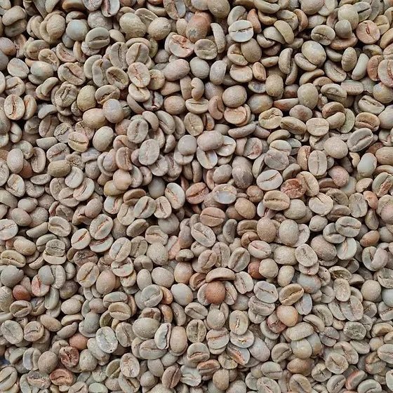 Premium Cacao Powder for Sale  | +27 71 934 5262 photo 3
