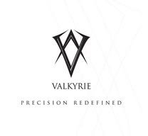Offshore Company Formation in UAE - Valkyrie DMCC