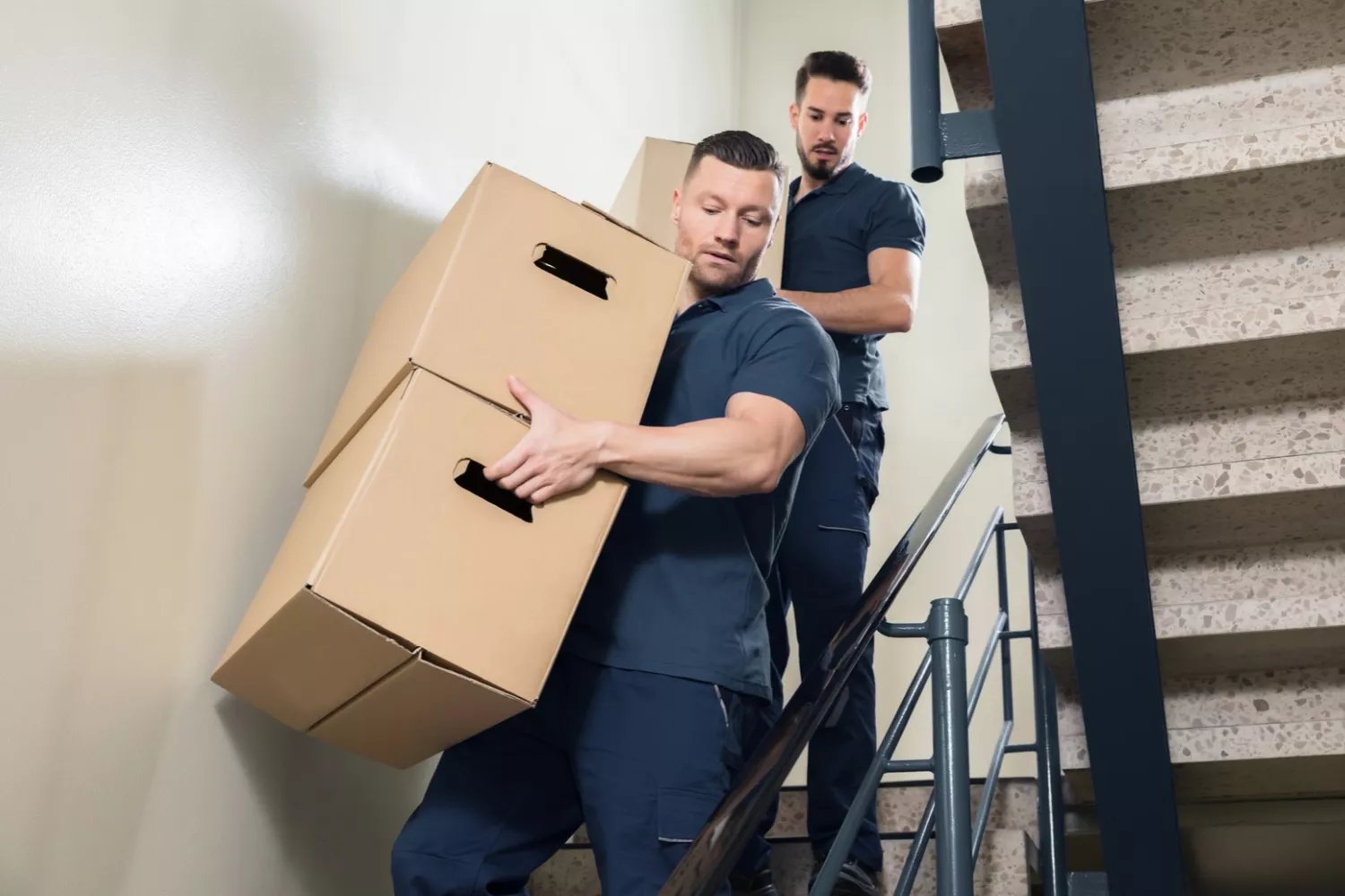 Professional Movers and Packers in Dubai photo 1