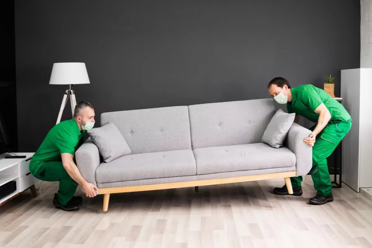 Best Movers Dubai photo 4