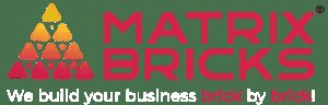 Grow Your Brand with YouTube Ads Company in Dubai, Abu Dhabi & Sharjah by Matrix Bricks