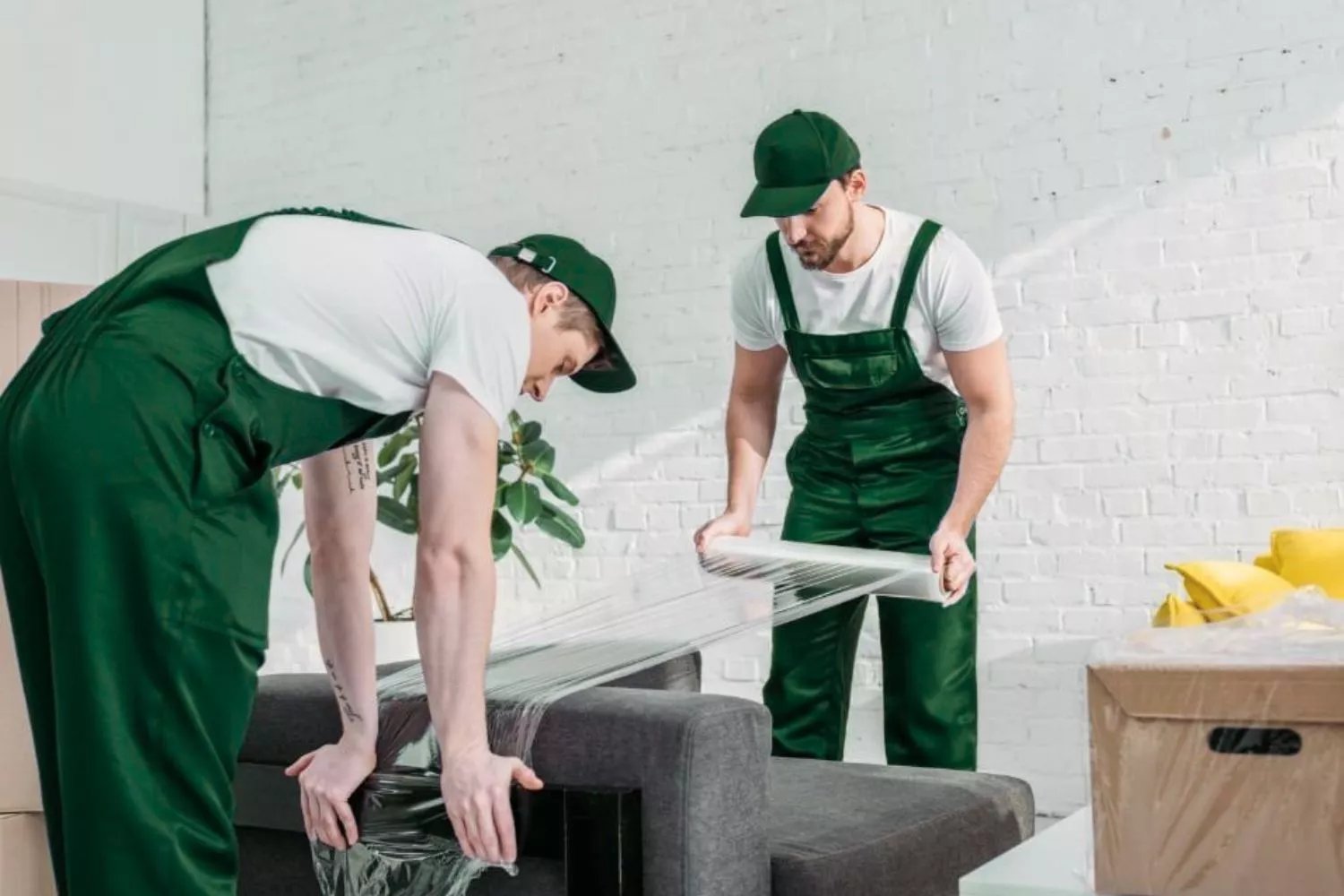 Movers and Packers photo 2