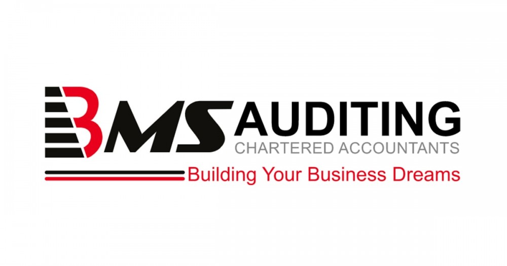 BMS Auditing Dubai | Audit Firms in Dubai | Audit UAE | Accounting Services | VAT Services | Tax Agent | Corporate Tax in UAE photo 1