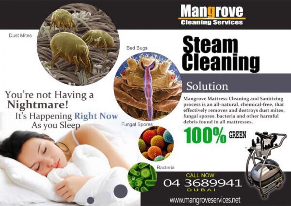 Deep/Steam cleaning Services in Dubai - Sanitize photo 1