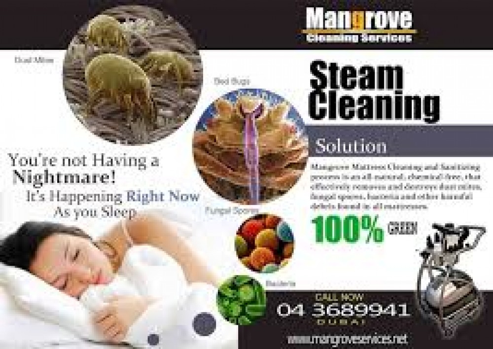 Curtain, Carpet, Mattress, Sofa Deep/Steam Cleaning Services in Dubai