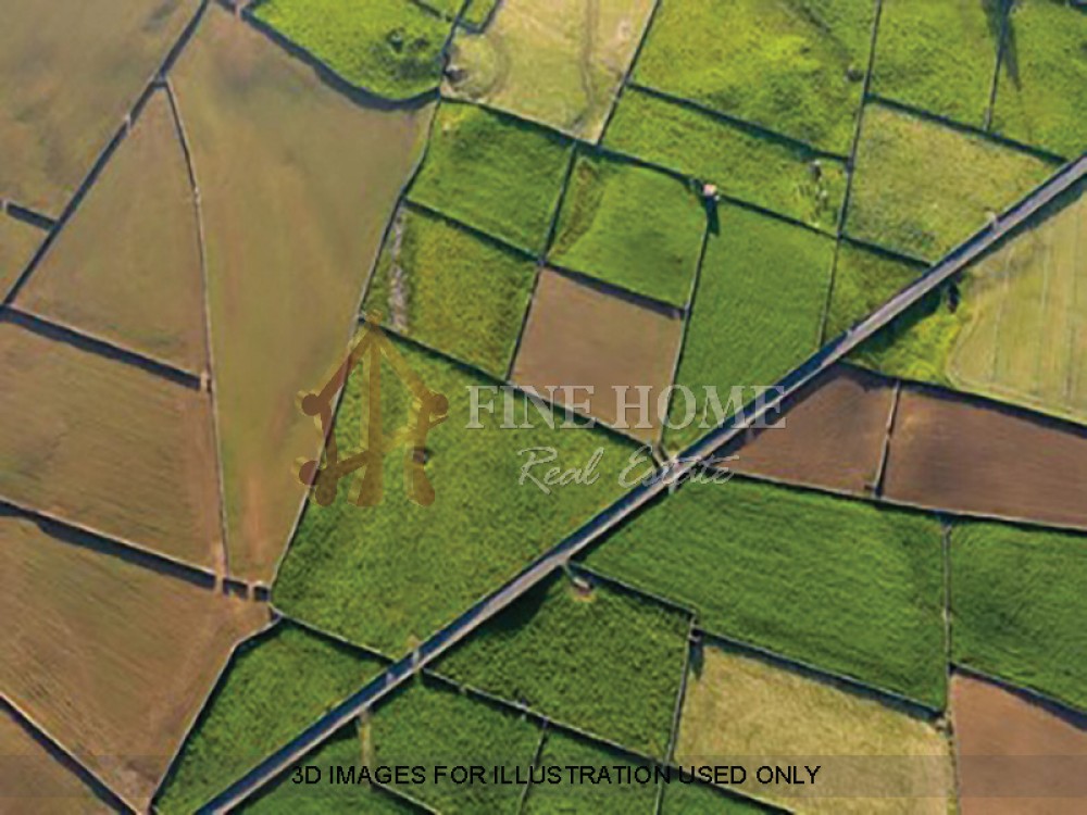 Prime location Residential Land 31,500 sq.ft  on Shakhbout City photo 1