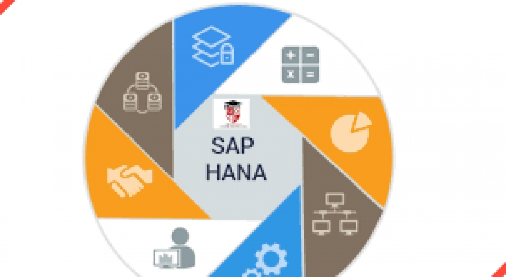 SAP Hana Classes in Sharjah with Best Offer 0503250097 photo 1