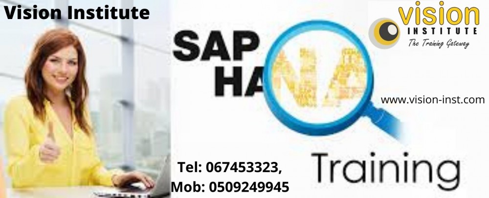 SAP HANA Training at Vision Instiute. Call 0509249945 photo 1