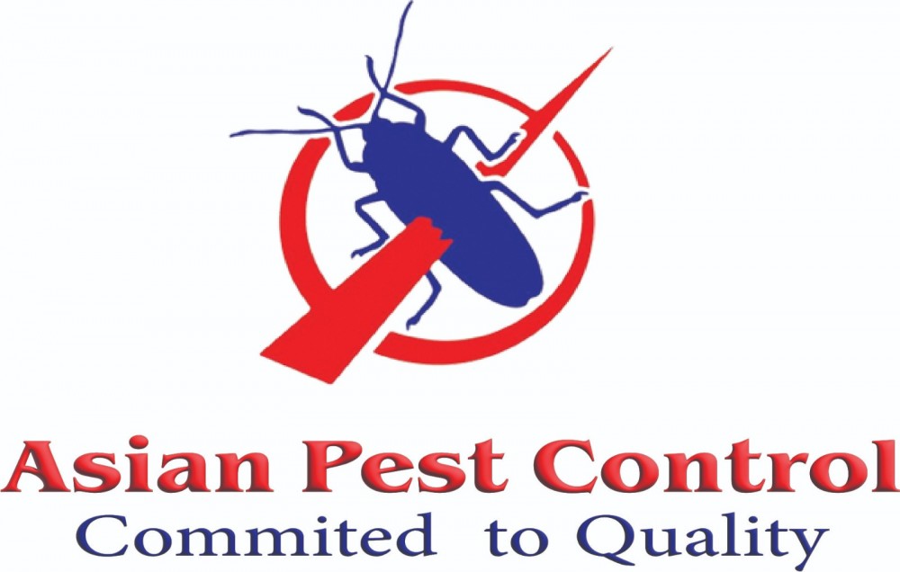 # Asian Pest Control – Latest Prices Today!! photo 1