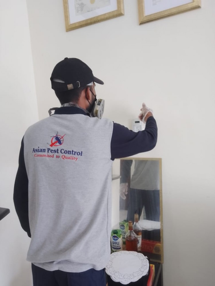 # Asian Pest Control – Latest Prices Today!! photo 2