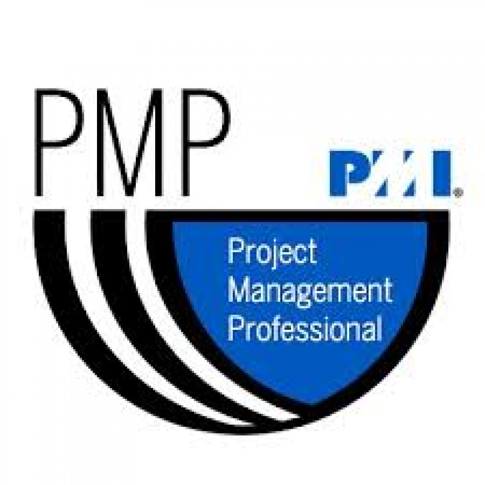 PMP CERTIFICATION  AT VISION photo 1
