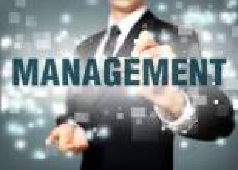 Develop your management skills at VISION IN ajman - photo 1
