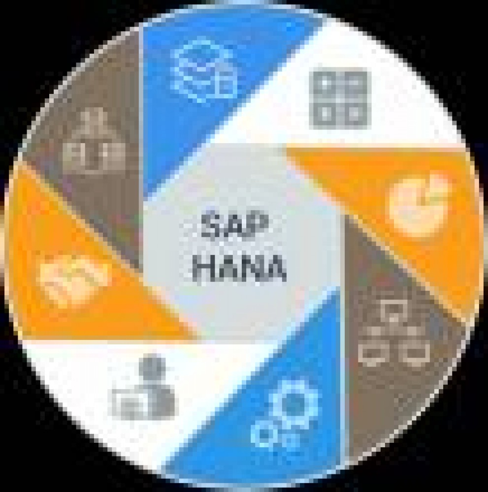 SAP-HANNA TRAINING START AT VISION IN AJMAN- 0509249945 photo 1