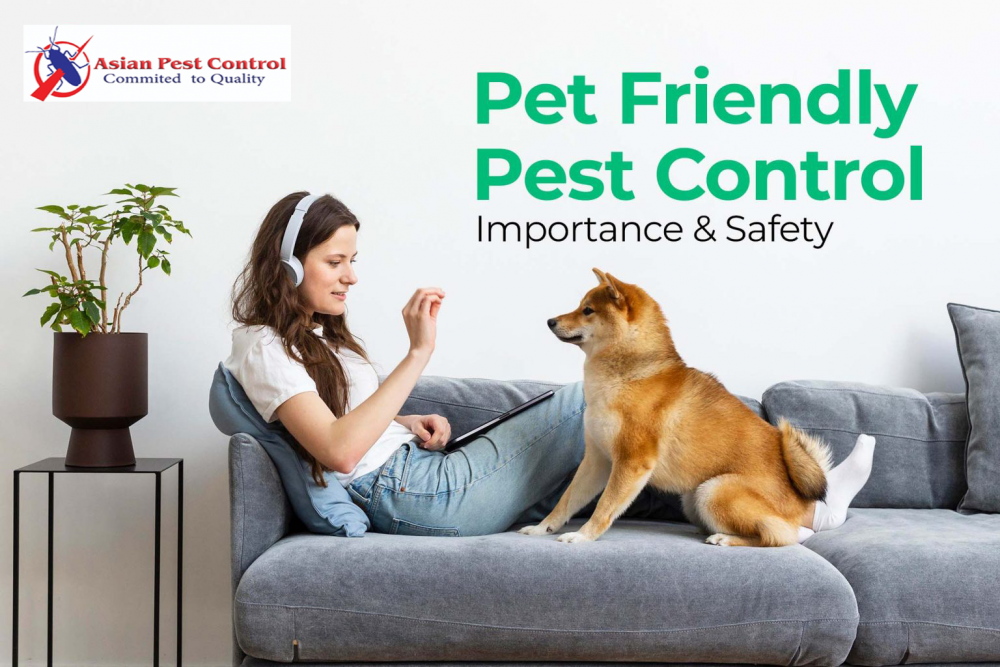# Control Your Pest Exp. – Get Up to 22% Discount photo 1