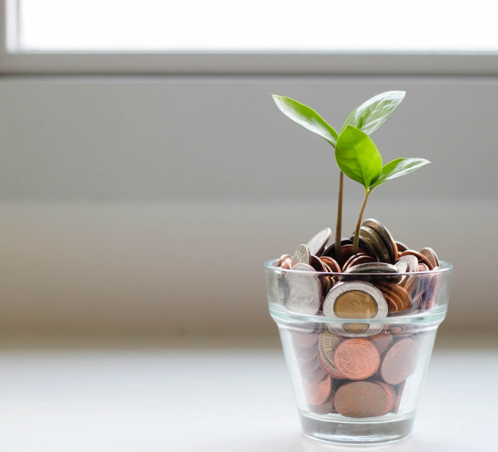 Staff augmentation for P2P investment platform photo 1