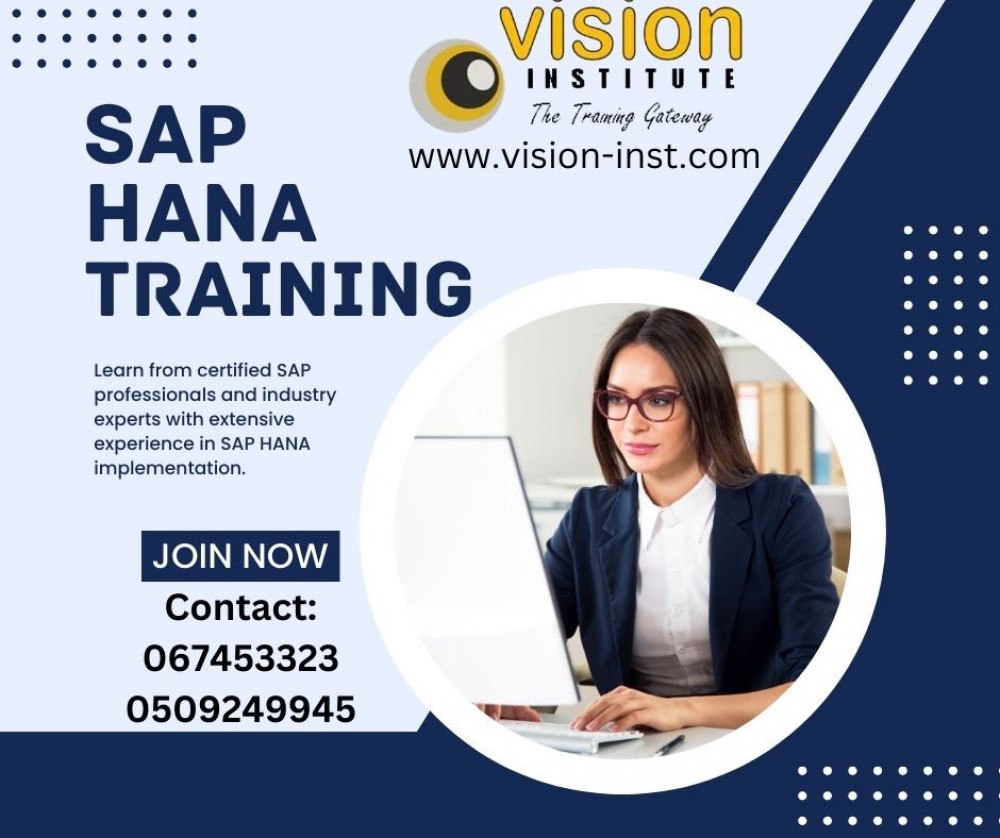 SAP Training At Vision institute Call 0509249945 photo 1