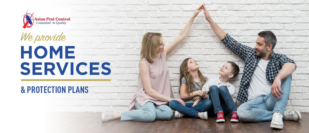 # Pest Control in Dubai – 30% OFF