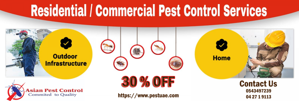 # Municipality Approved Pest – Get 20% Off