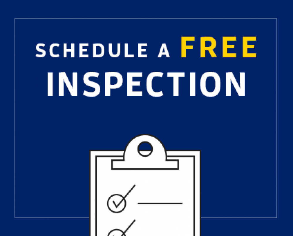 # Best Prices N Quality Ants Control – 25% Pest Disc. photo 1