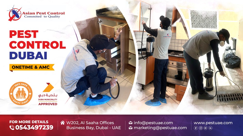 # Get Up to 25% Ramadan Off – No.1 Pest Control