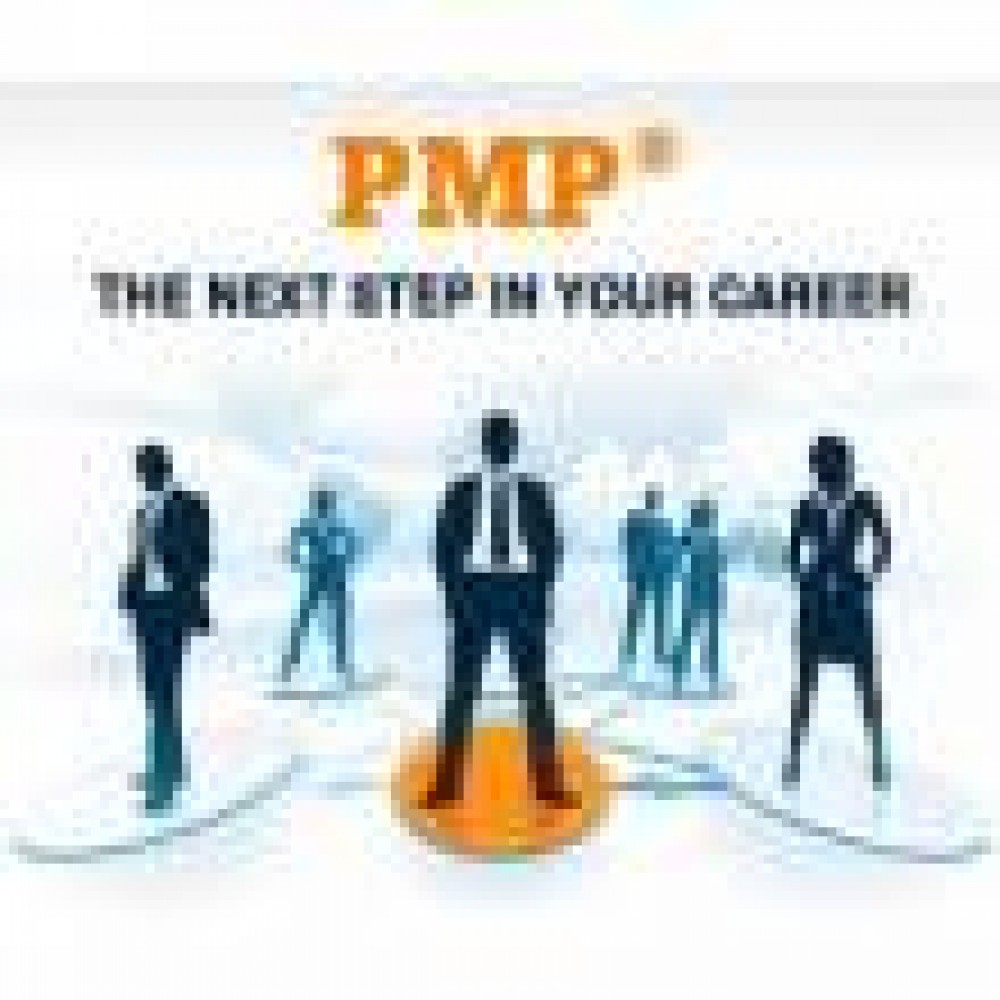 PMP CERTIFICATION (PREPARATION PROGRAMME ) AT VISION photo 1